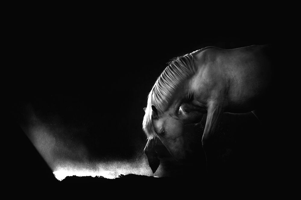 Photograph by Janine Ulbrich