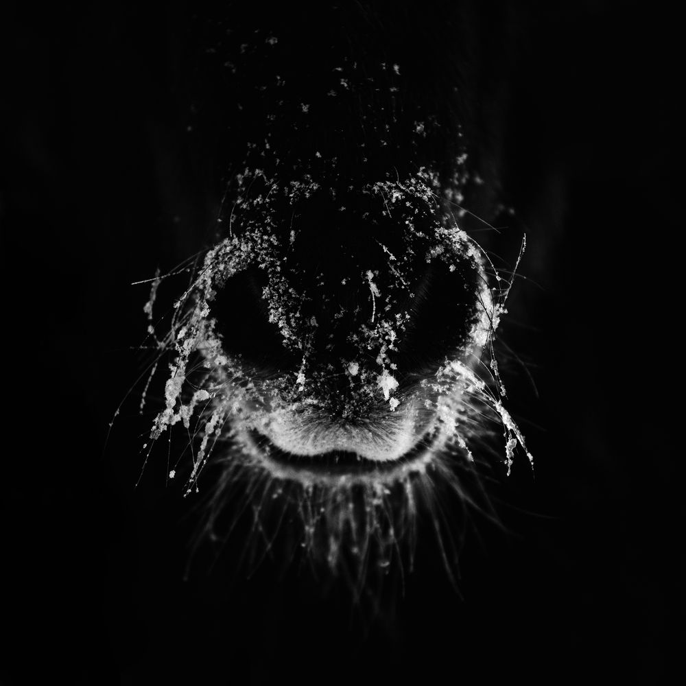 Photograph by Janine Ulbrich