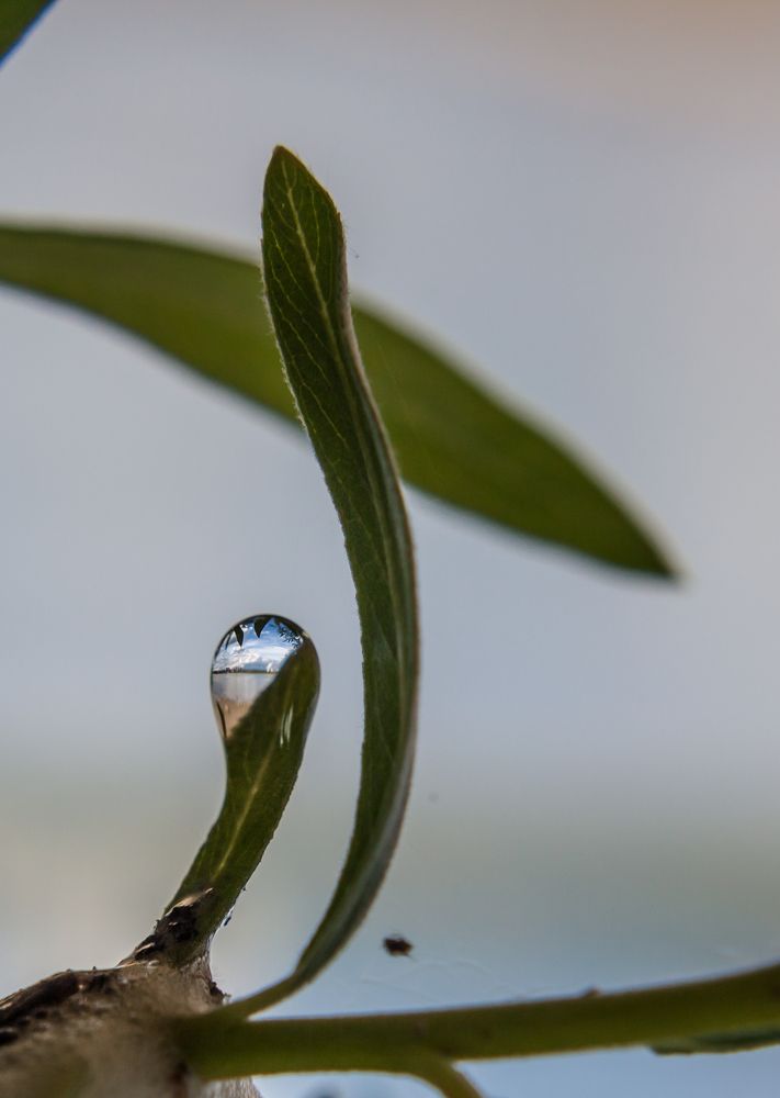 Photograph by Мартынова Ирина