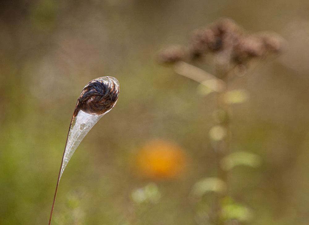 Photograph by Мартынова Ирина