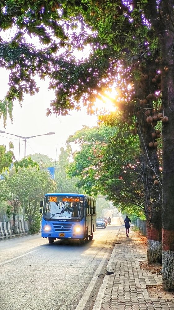 Photograph by Sumiran Waghmare