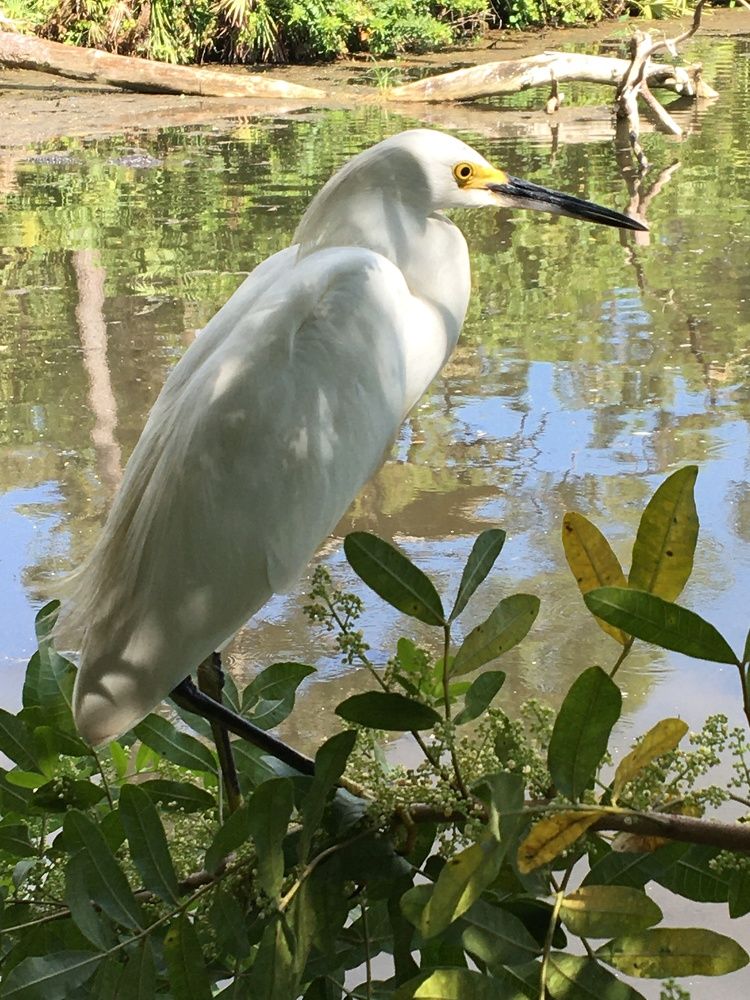 Photograph by Lyndsye