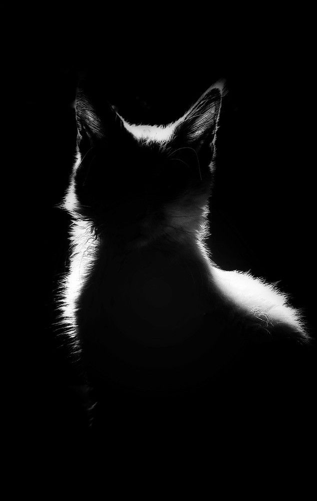 Photograph by Лера