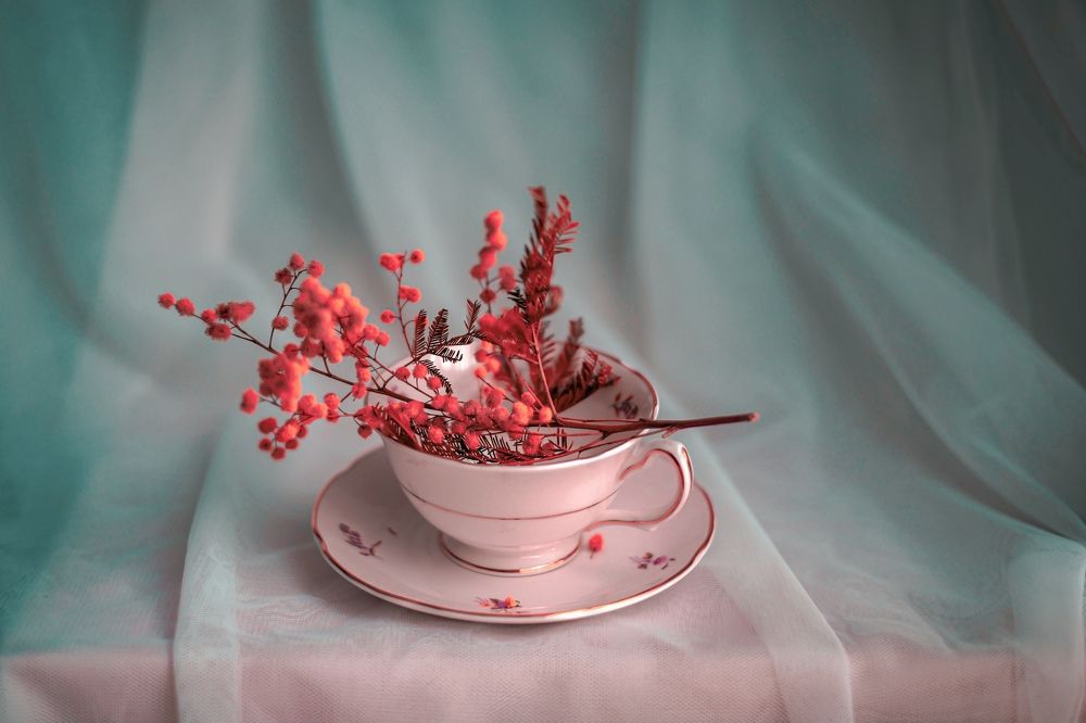 Photograph by Marian Lázaro