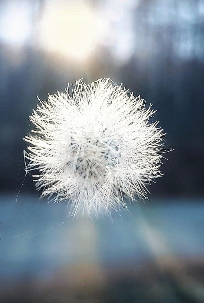 Photograph by Лера