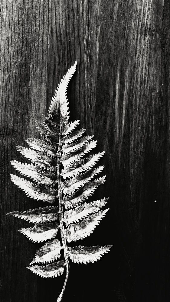 Photograph by Татьяна Бесчастнова