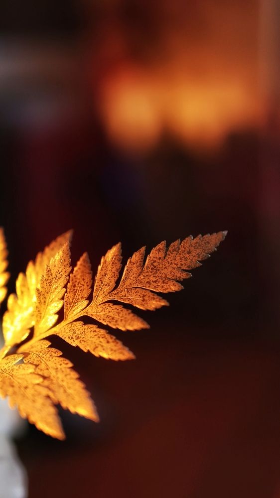 Photograph by Татьяна Бесчастнова