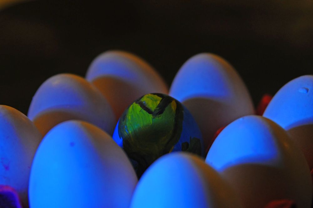 Photograph by Selma Seyitdanlioglu