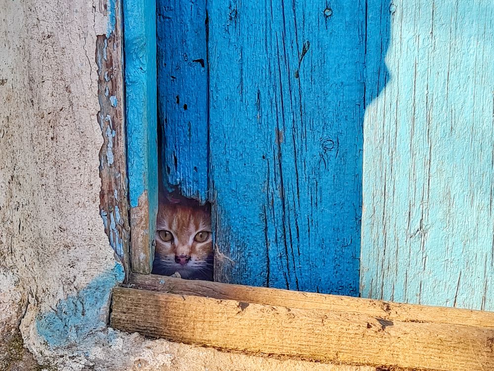 Photograph by Лариса Когтева