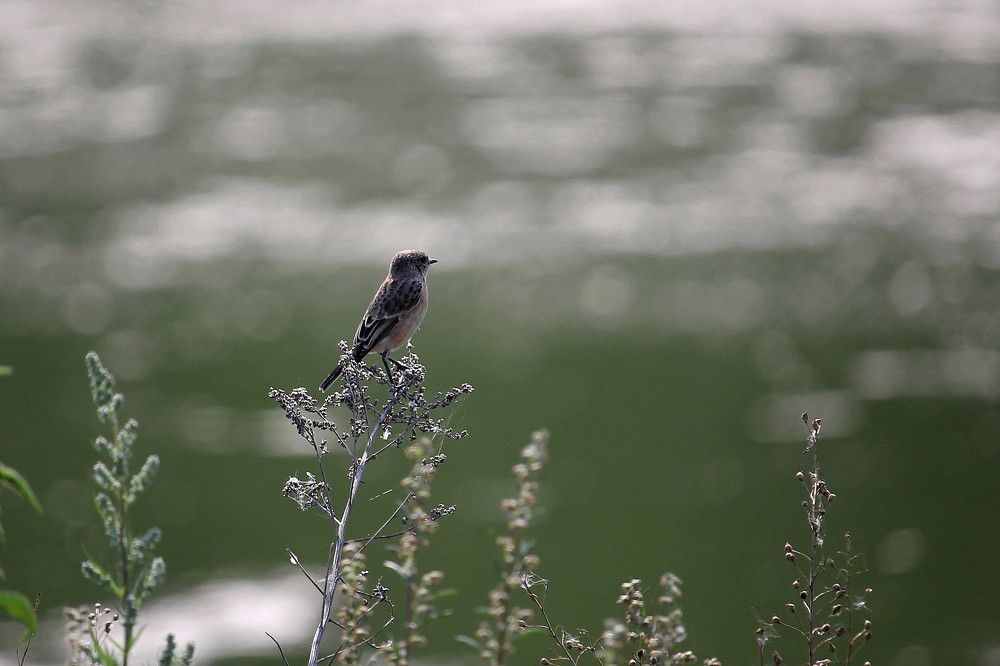 Photograph by Тамара Кремлева