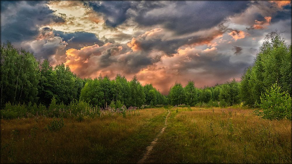 Photograph by Алексей Афонин