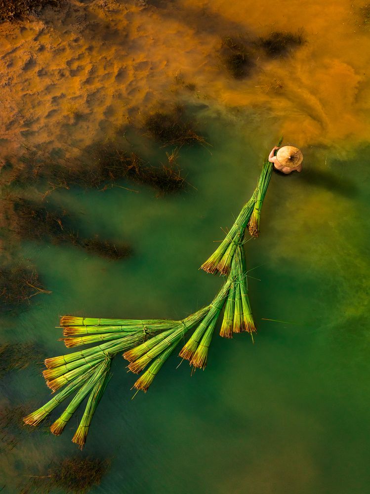 Photograph by Nguyen Dang Viet Cuong