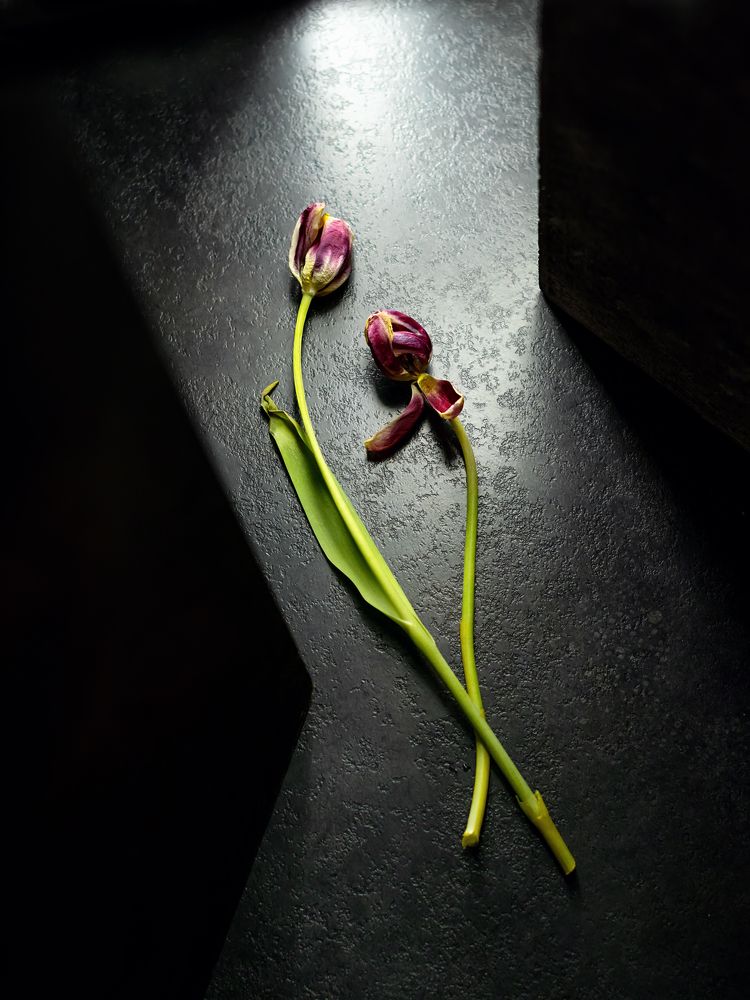 Photograph by Зульфия Курманова