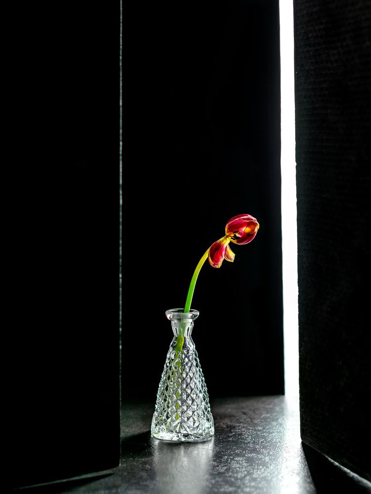 Photograph by Зульфия Курманова