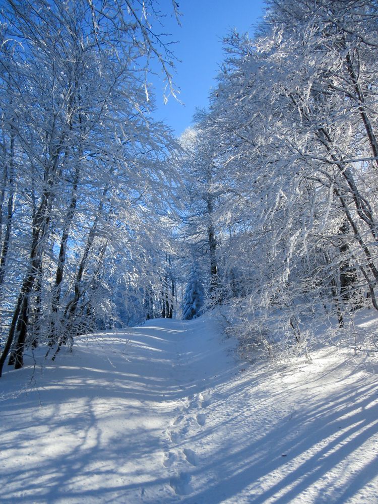 Winter in Aspromonte