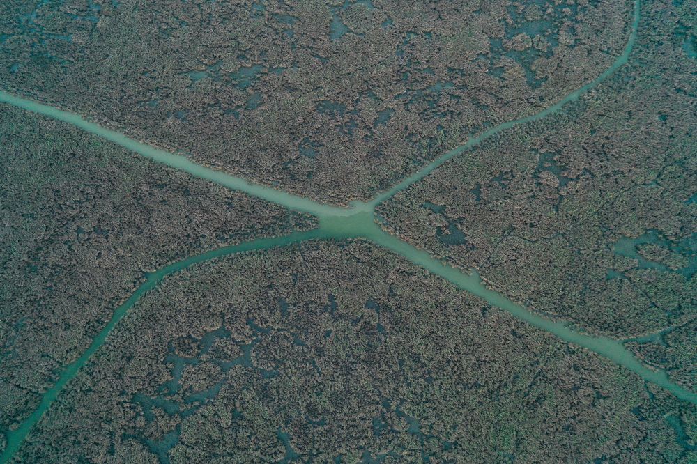 Photograph by Ali Alyassiri