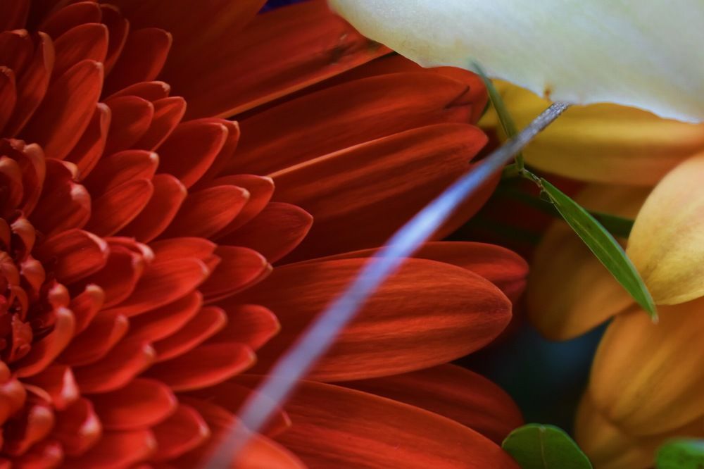 Photograph by Юлия Балашова