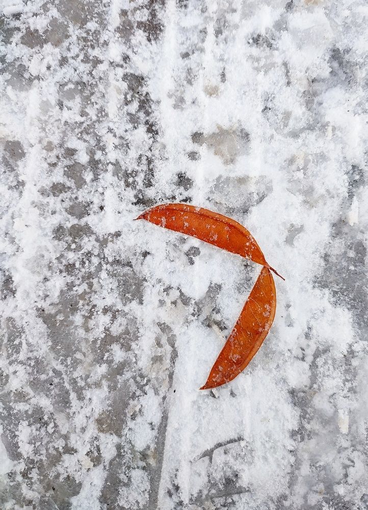 Photograph by Ehsan Fathi