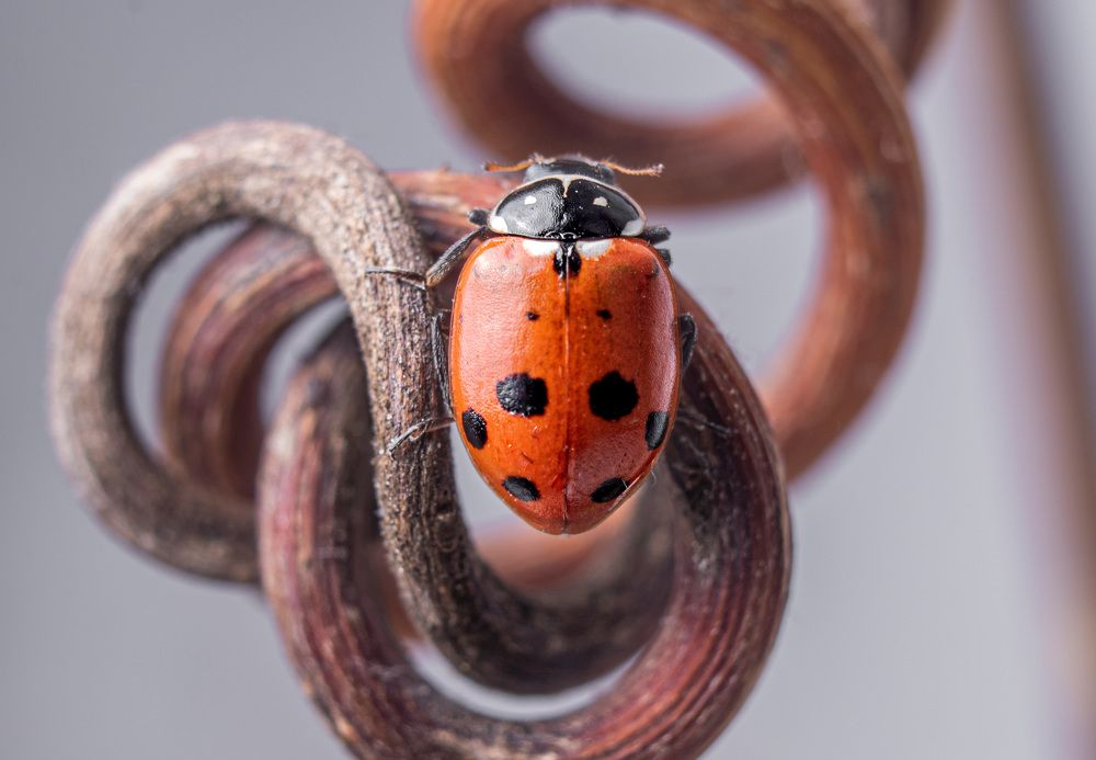 Photograph by Youness Fakoiallah