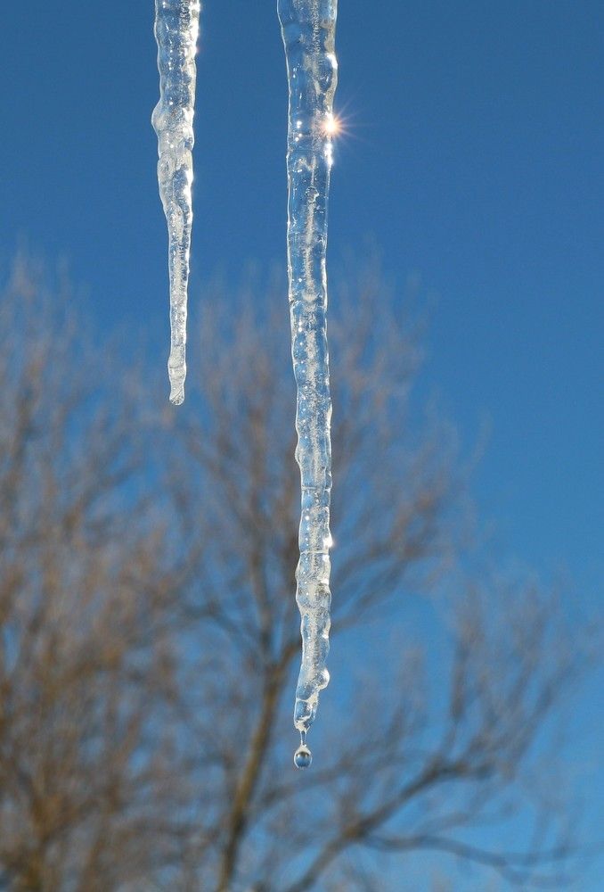 Весенняя капель