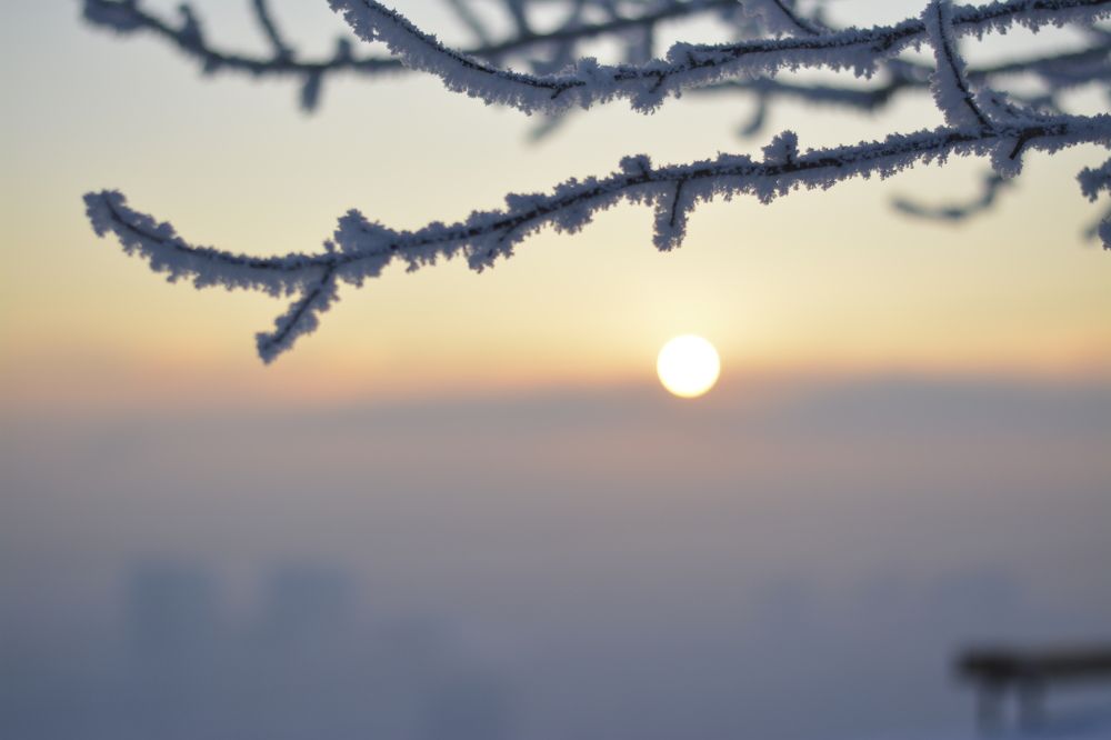 Photograph by TATYANA PEREVALOVA