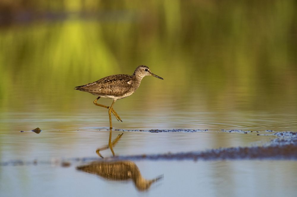 Photograph by Валерий Шурмиль