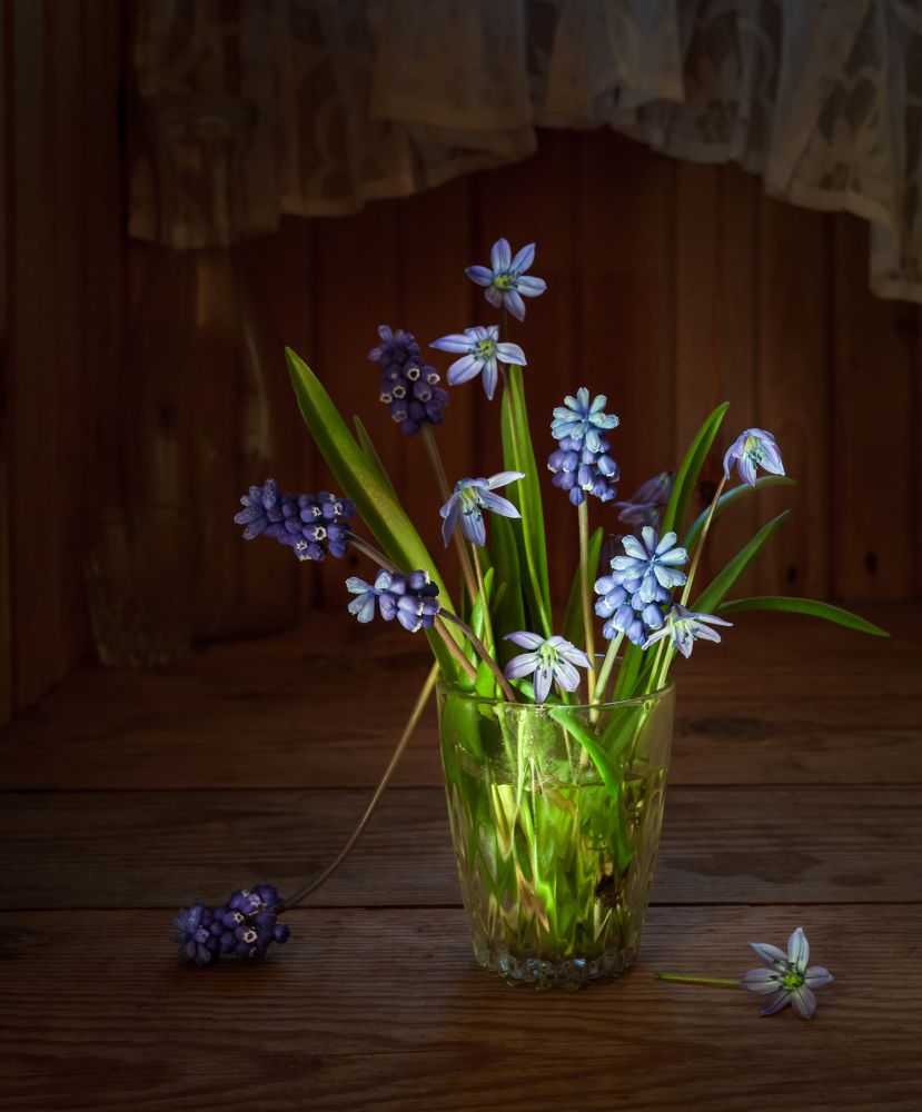 Photograph by Татьяна Макотра