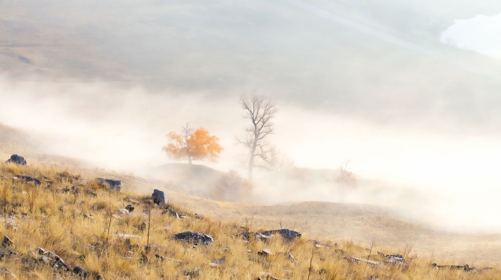 Photograph by ШАКИРОВ СЕРГЕЙ