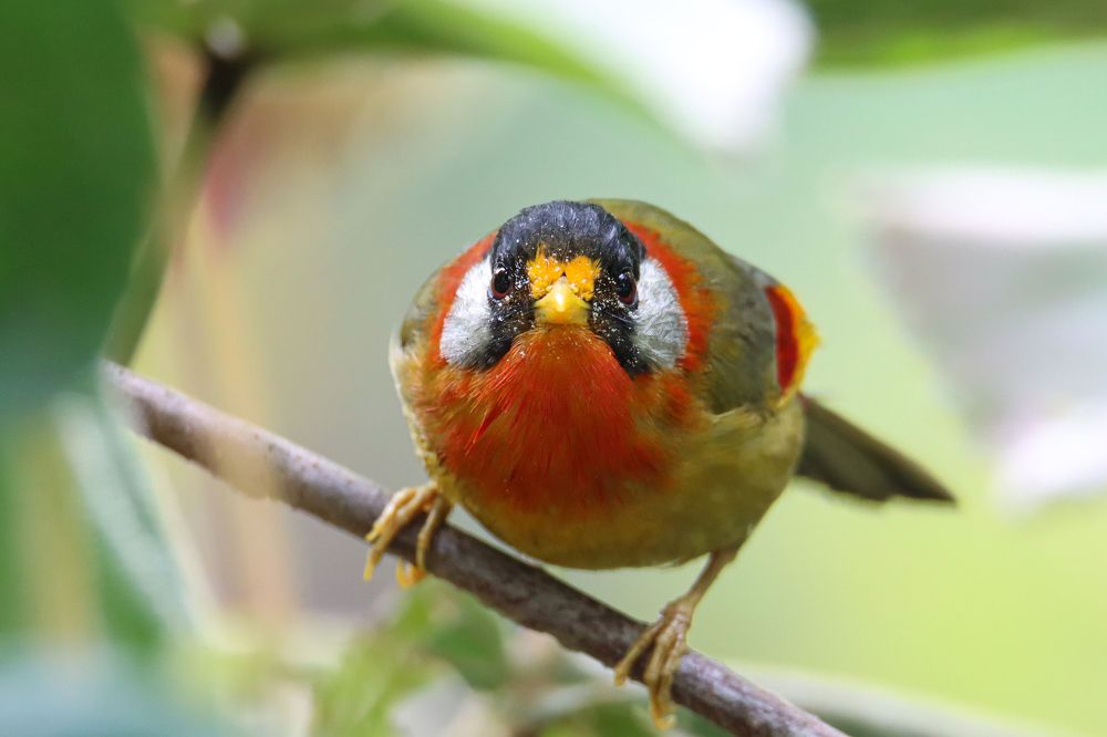 Photograph by Modesto James