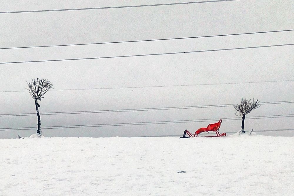 Фотография автора Гудкова Светлана