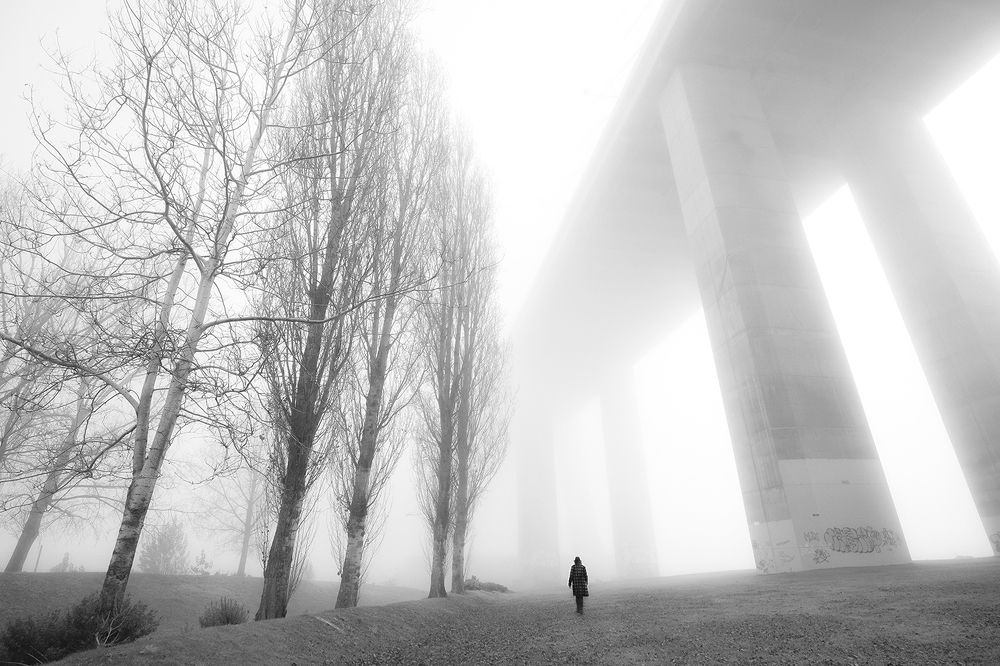 Photograph by Carlos Lopes Franco