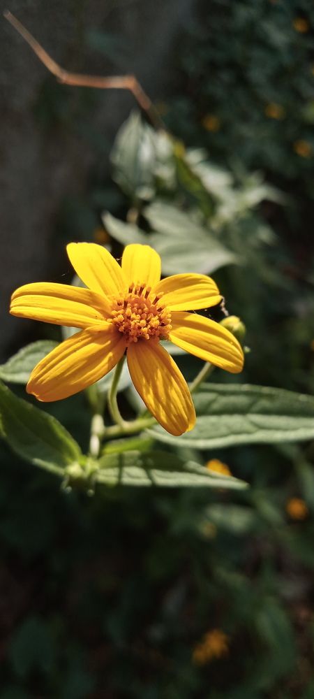 Photograph by Anamary Suarez Ortega