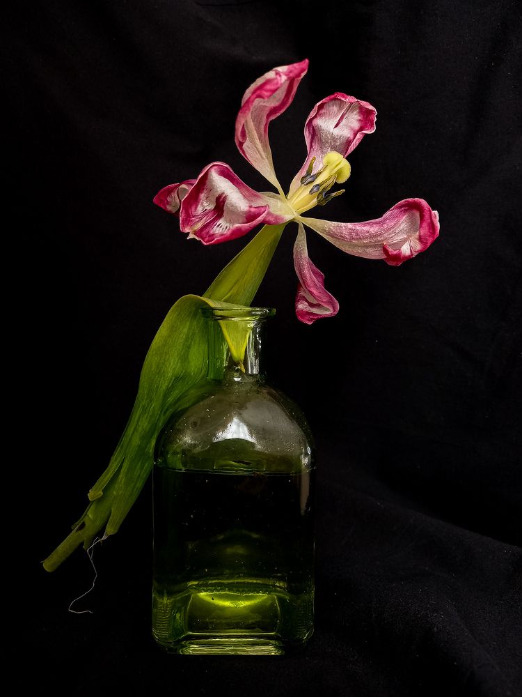 Photograph by Svetlana Yurasova