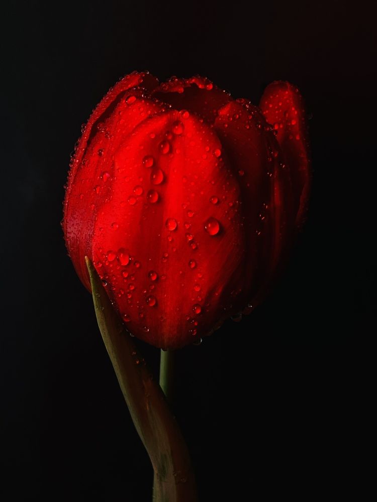 Photograph by Ольга Тимофеева