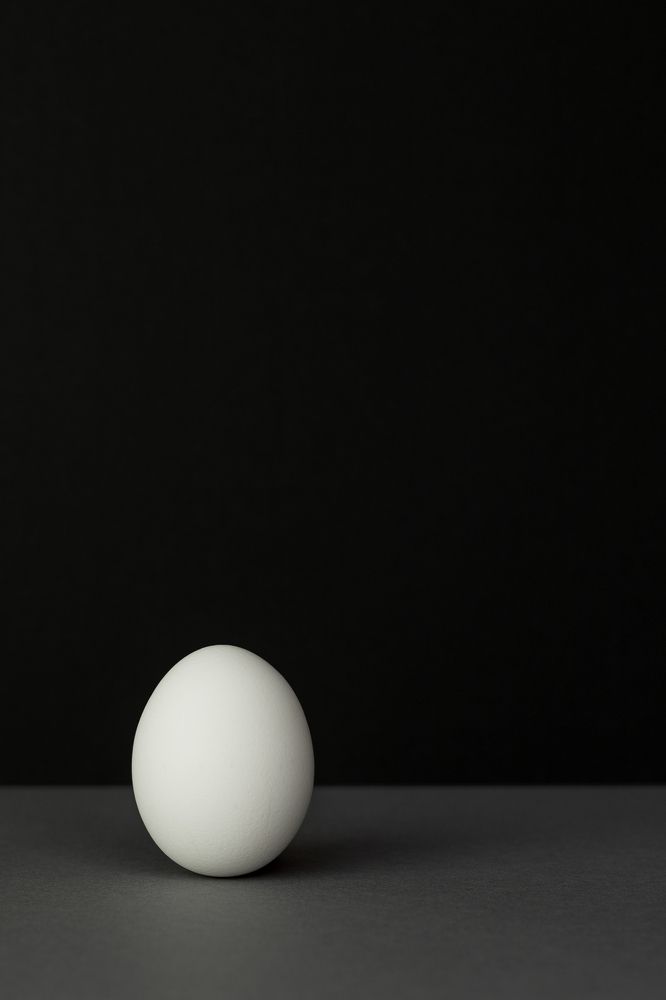 Фотография автора Елена Ельшина