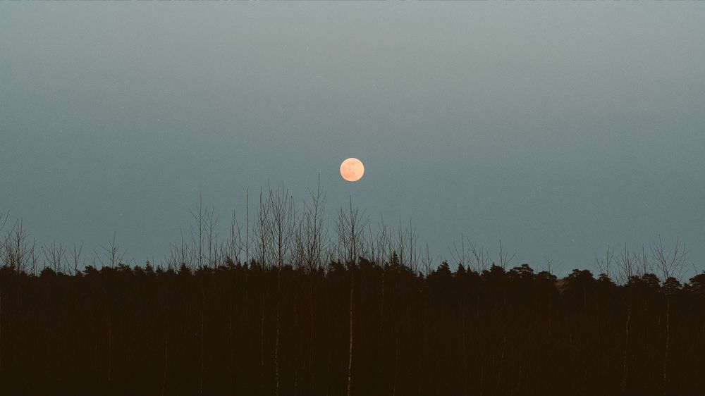 Photograph by Константин Власов