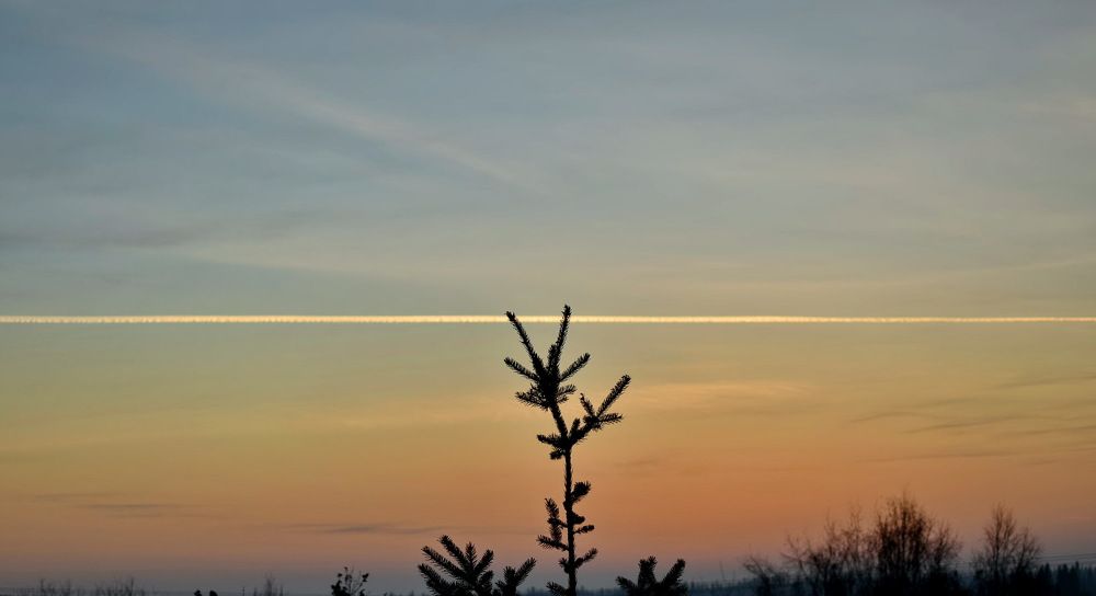 Photograph by НИНА АВЕРЬЯНОВА