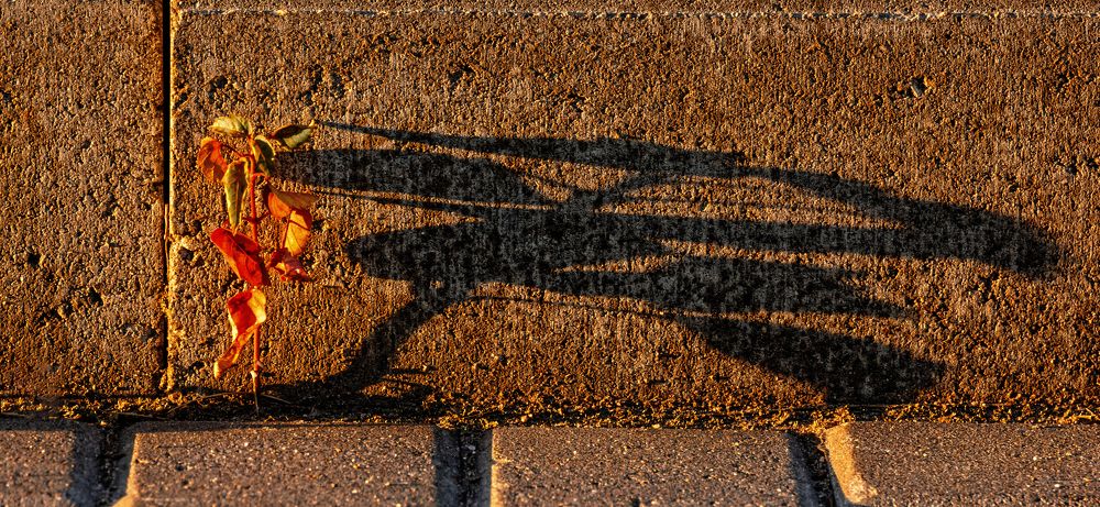 Иероглиф Тень (Hieroglyph Shadow)