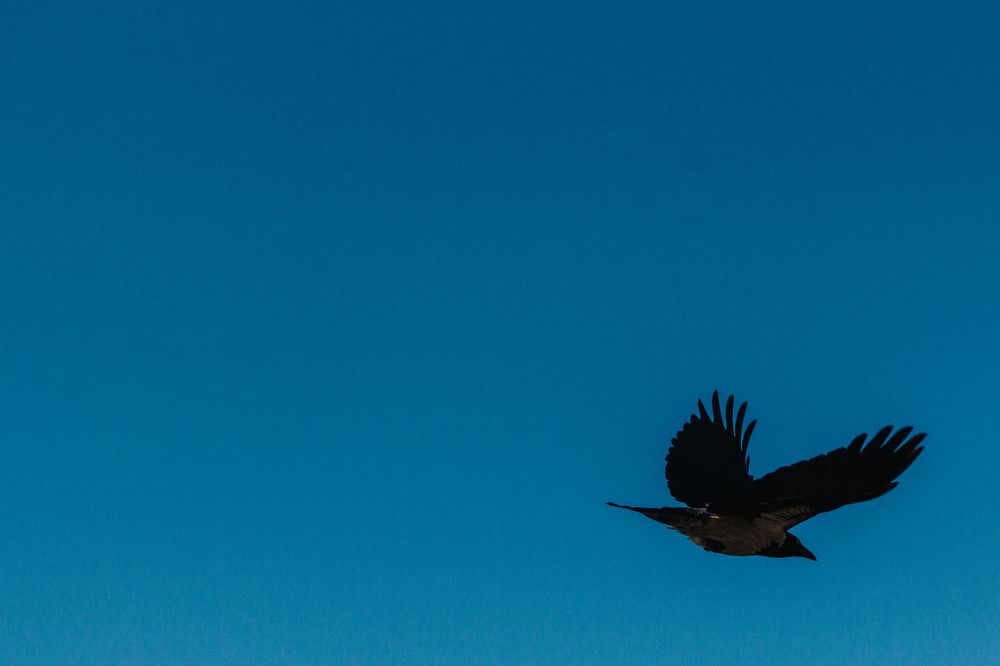 Photograph by Наталья