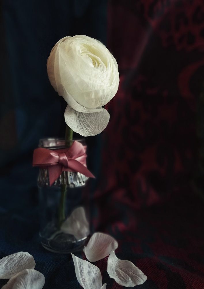 Photograph by Татьяна Смирнова