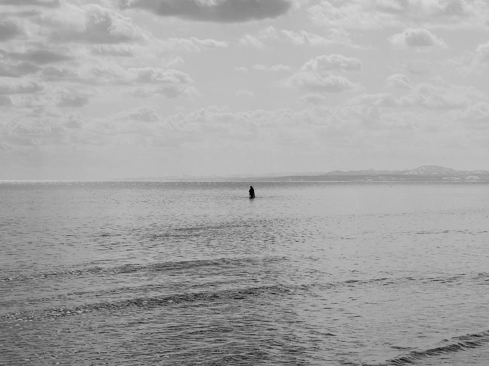 Photograph by Анастасия Терехова