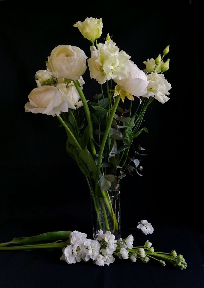 Photograph by Татьяна Смирнова