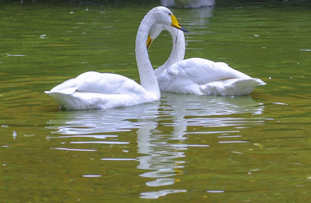 Photograph by Михаил Измайлов