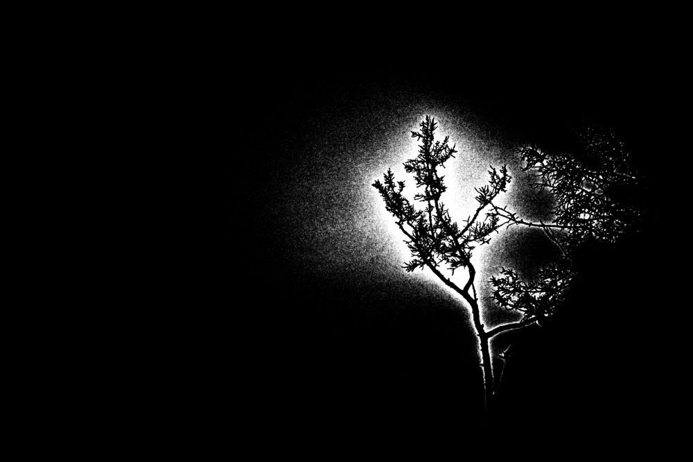 Photograph by Лукиных Александр