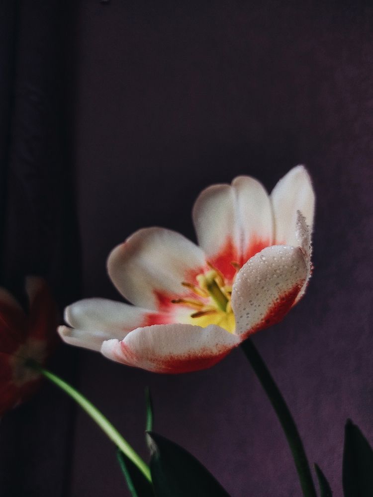 Photograph by Юлия Фролова