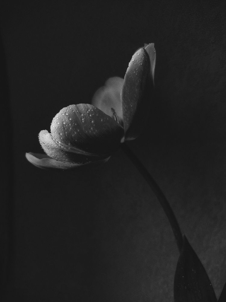 Photograph by Юлия Фролова