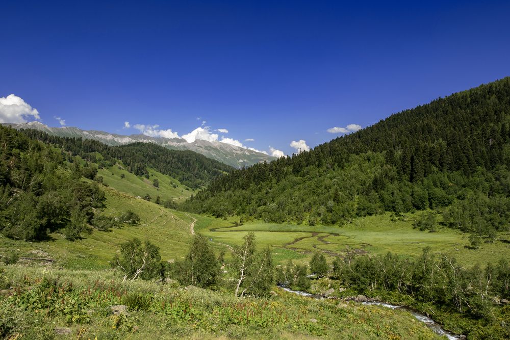 Photograph by Андрей Анатольевич Жуков