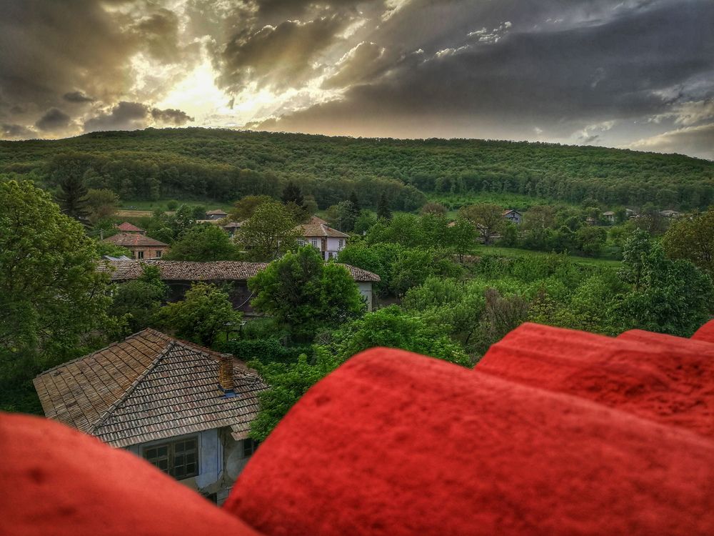 Photograph by Denitsa Dimitrova