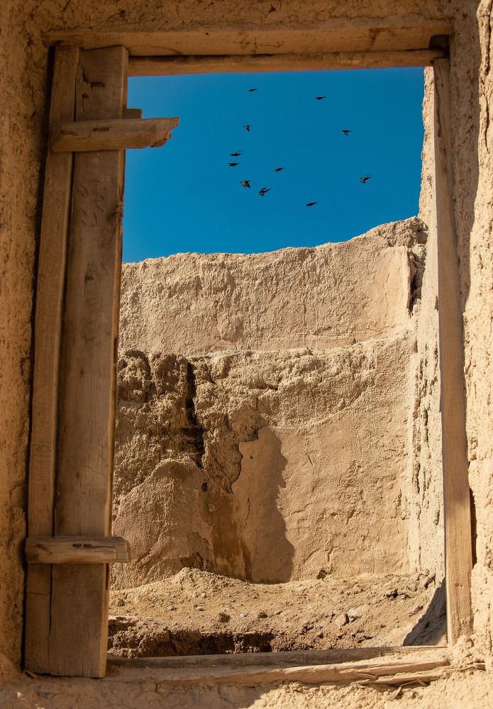 Photograph by negar zomorrod