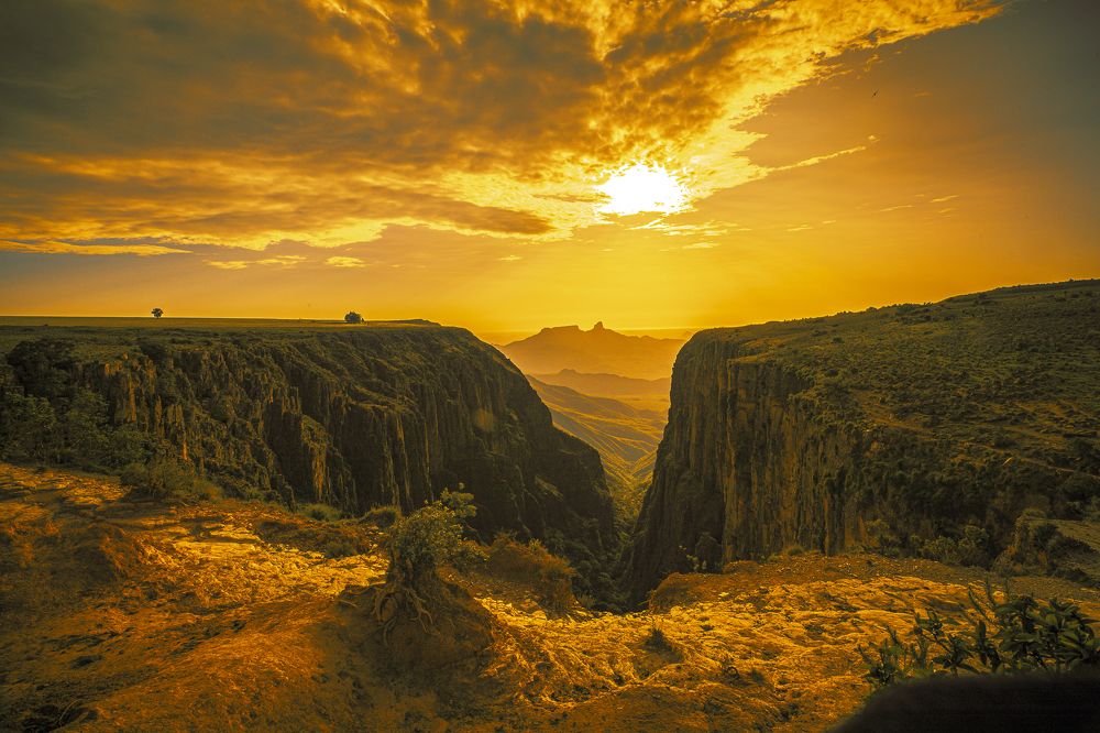 Photograph by Wilson Photographer